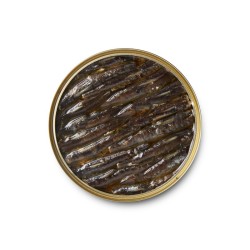 Mini sardines à l'huile d'olive